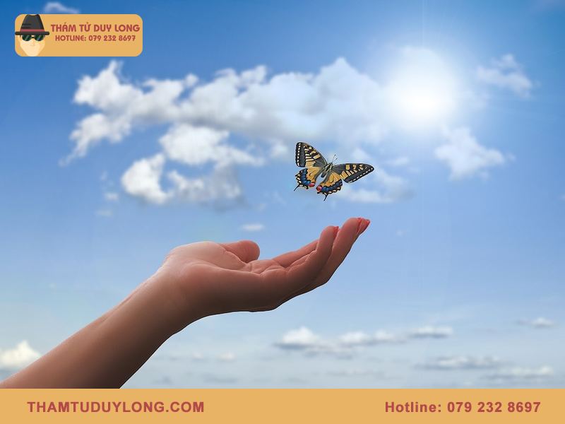 Học cách buông bỏ khi chồng ngoại tình qua 5 bước chữa lành